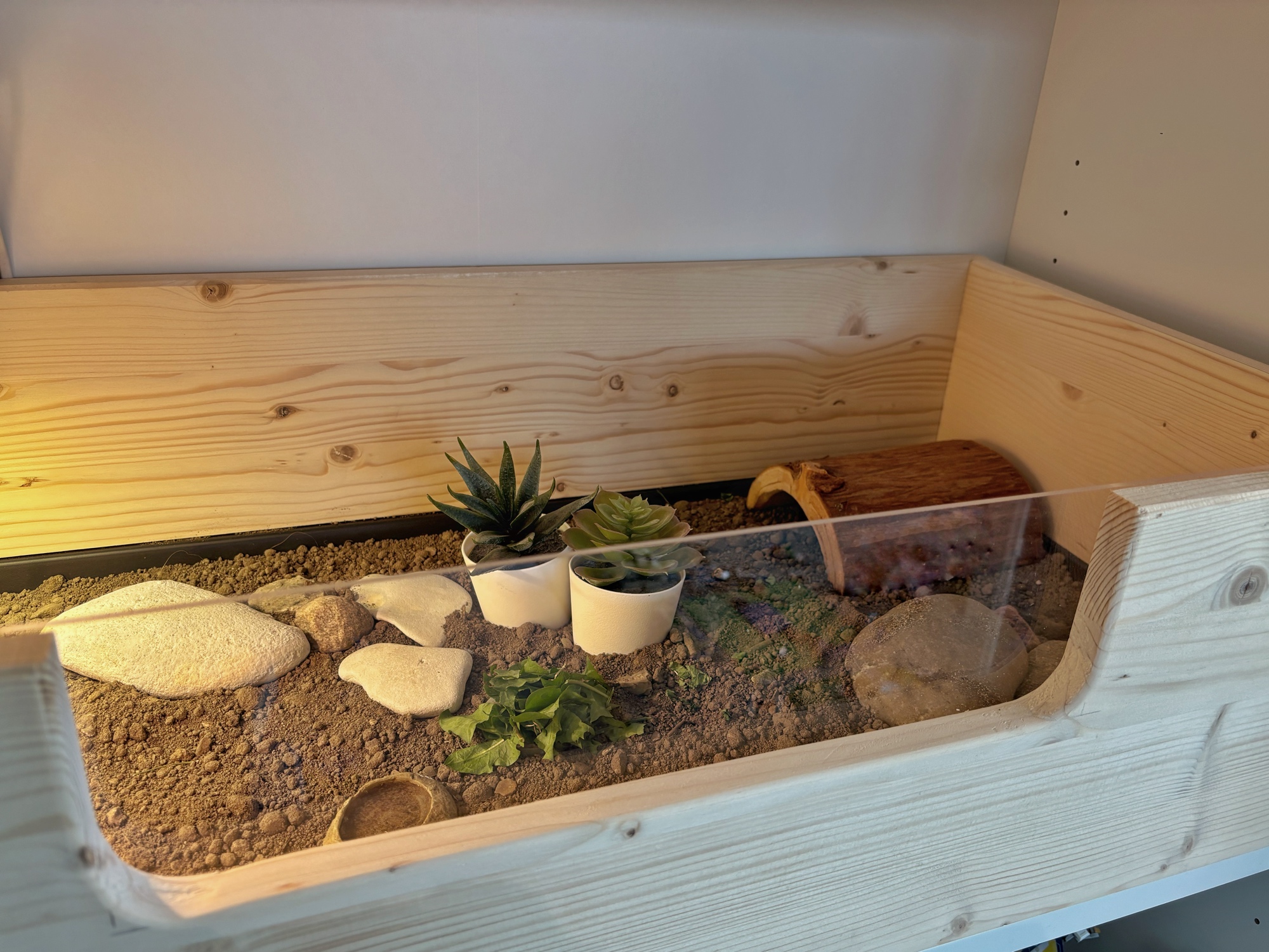 Indretning af baby skildpaddernes terrarie